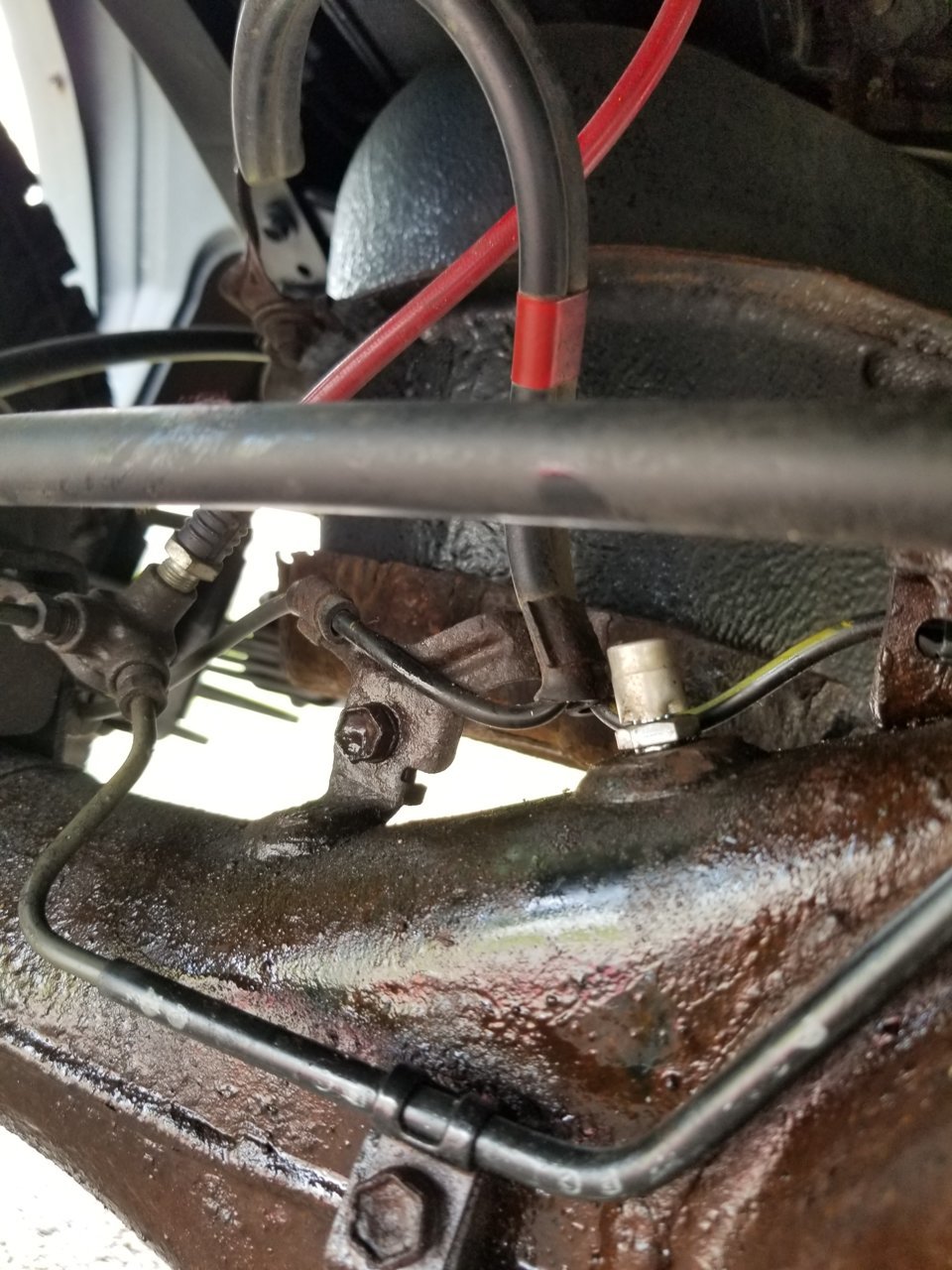 20190810_124607.jpg