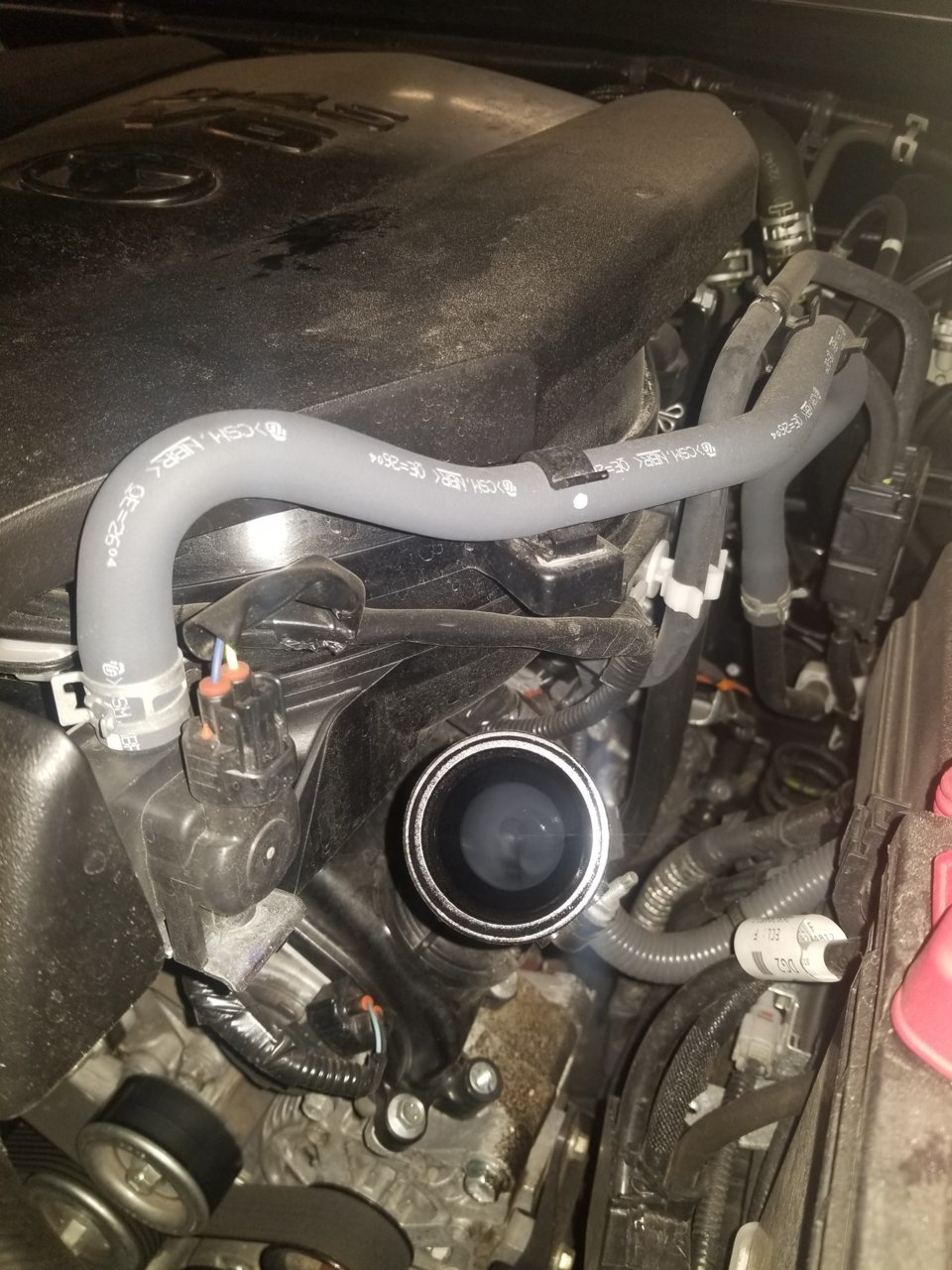20190810_153525.jpg