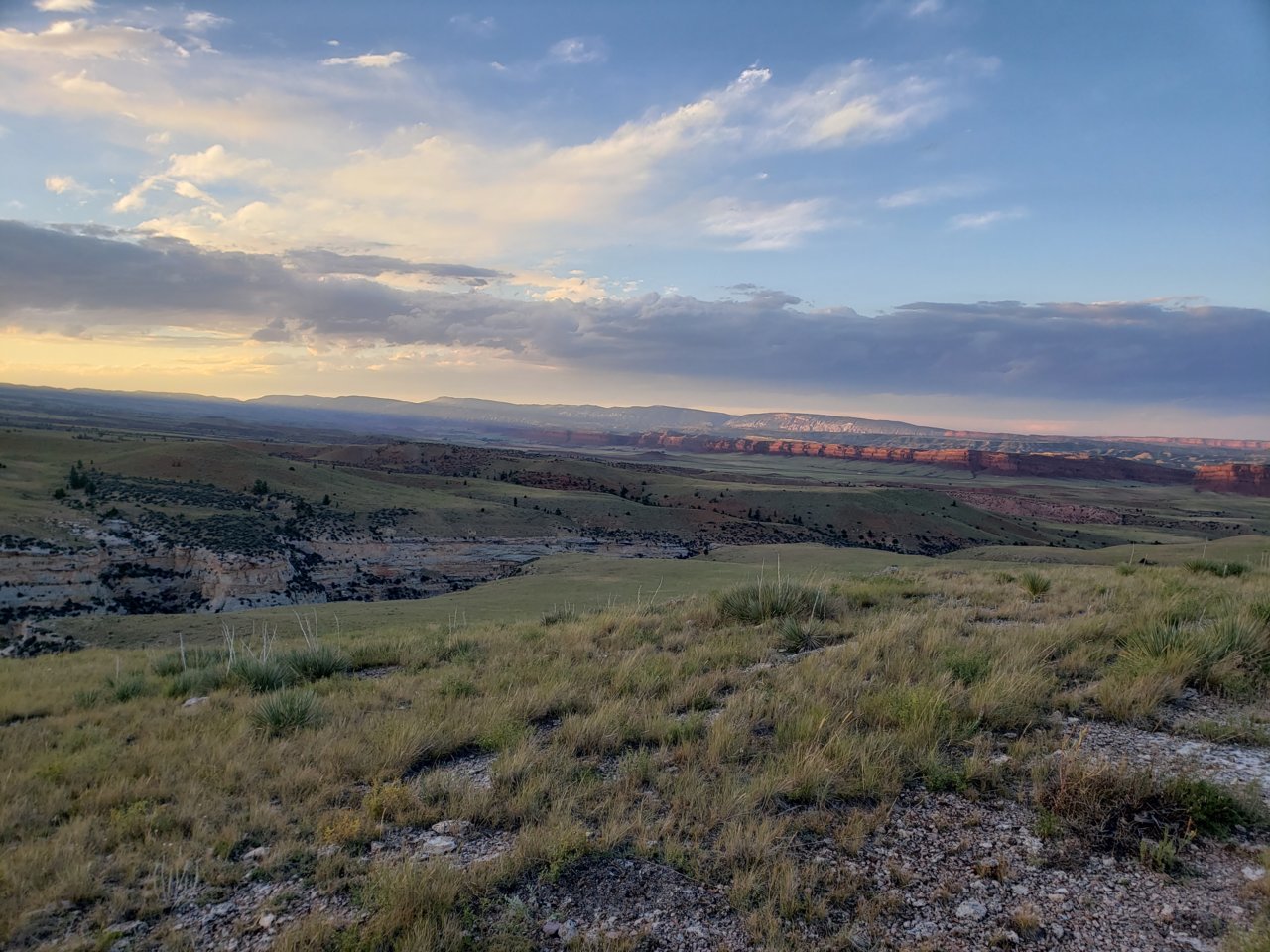 20190810_195530.jpg