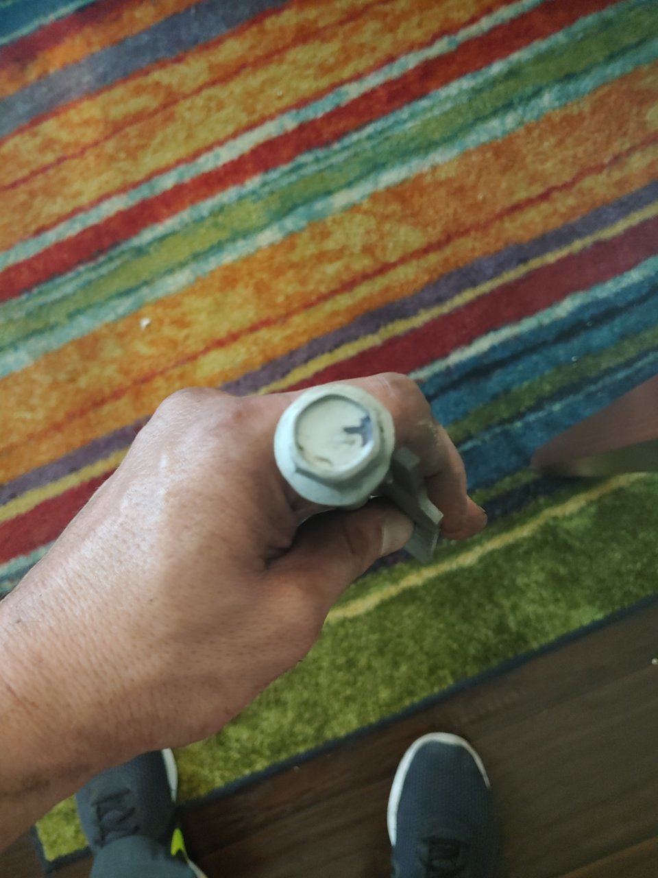 20190811_101357.jpg