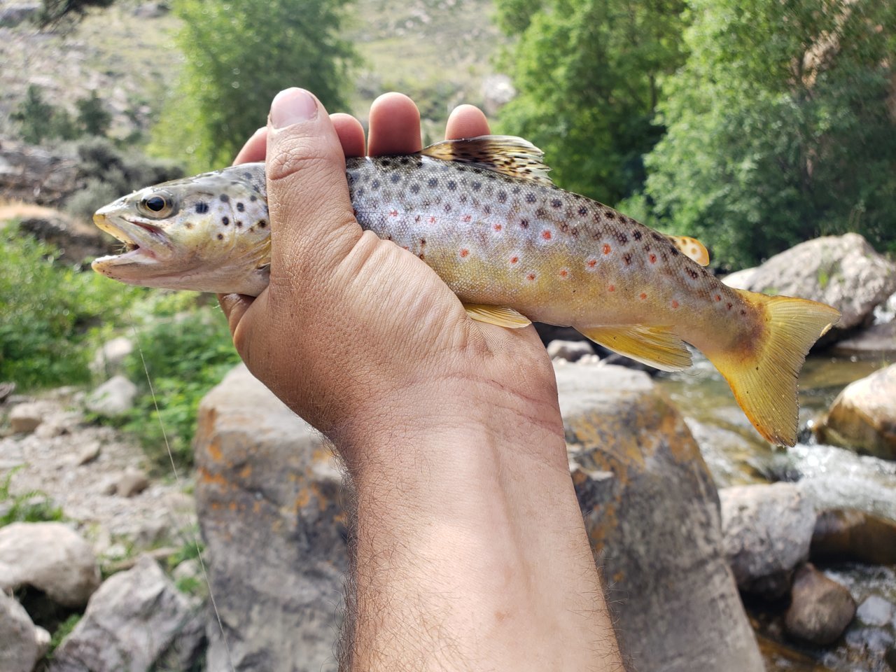 20190811_105647.jpg
