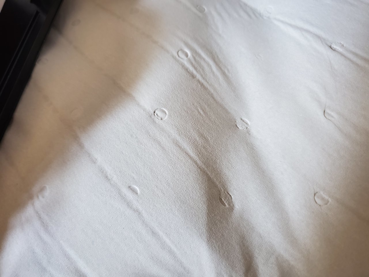 20190811_110950.jpg