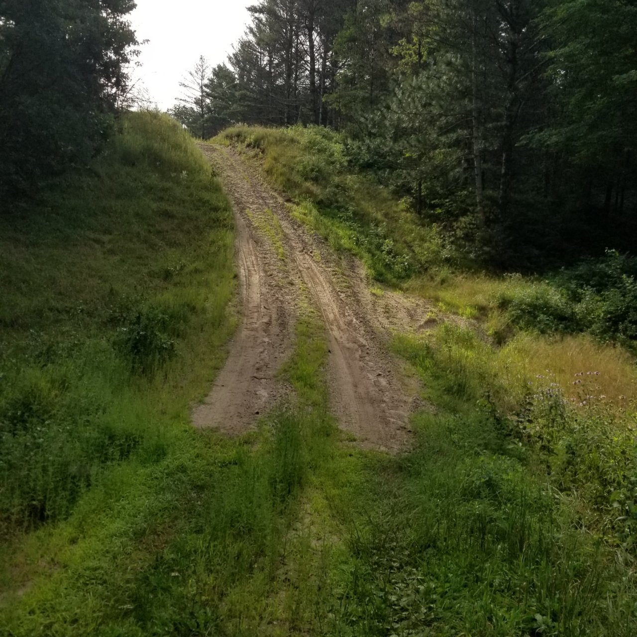 20190812_090047.jpg