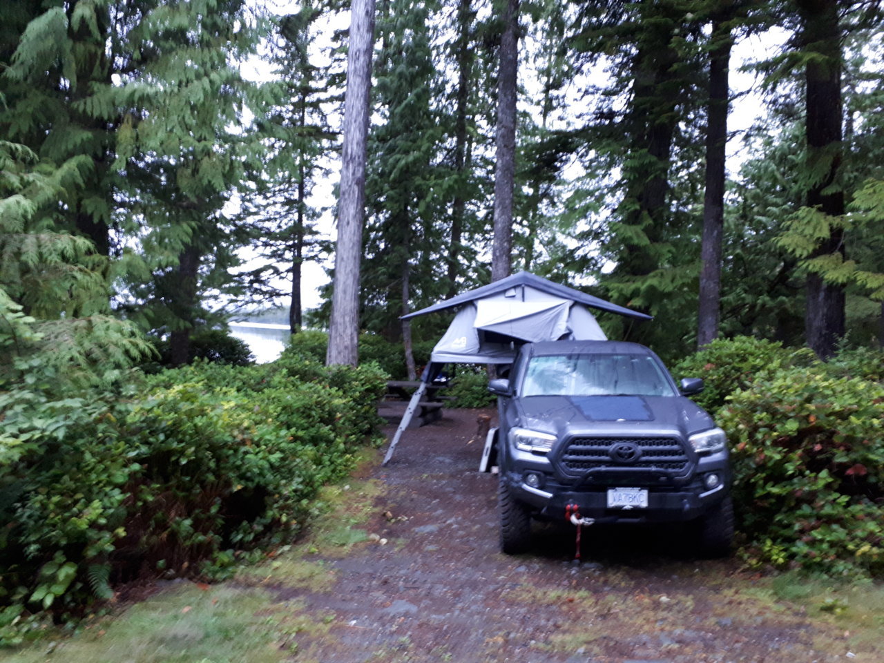 20190813_064256.jpg