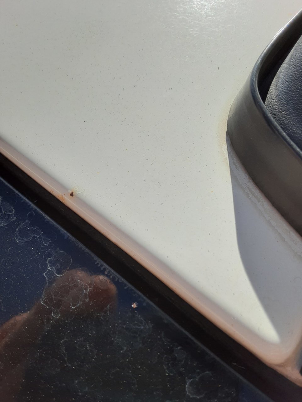20190813_090135[18072].jpg