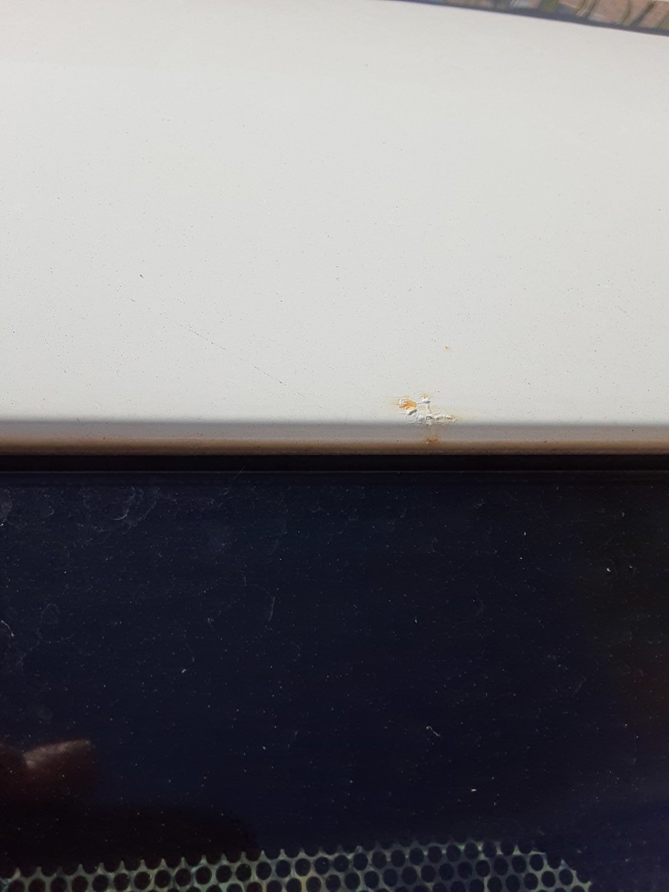 20190813_090307[18073].jpg