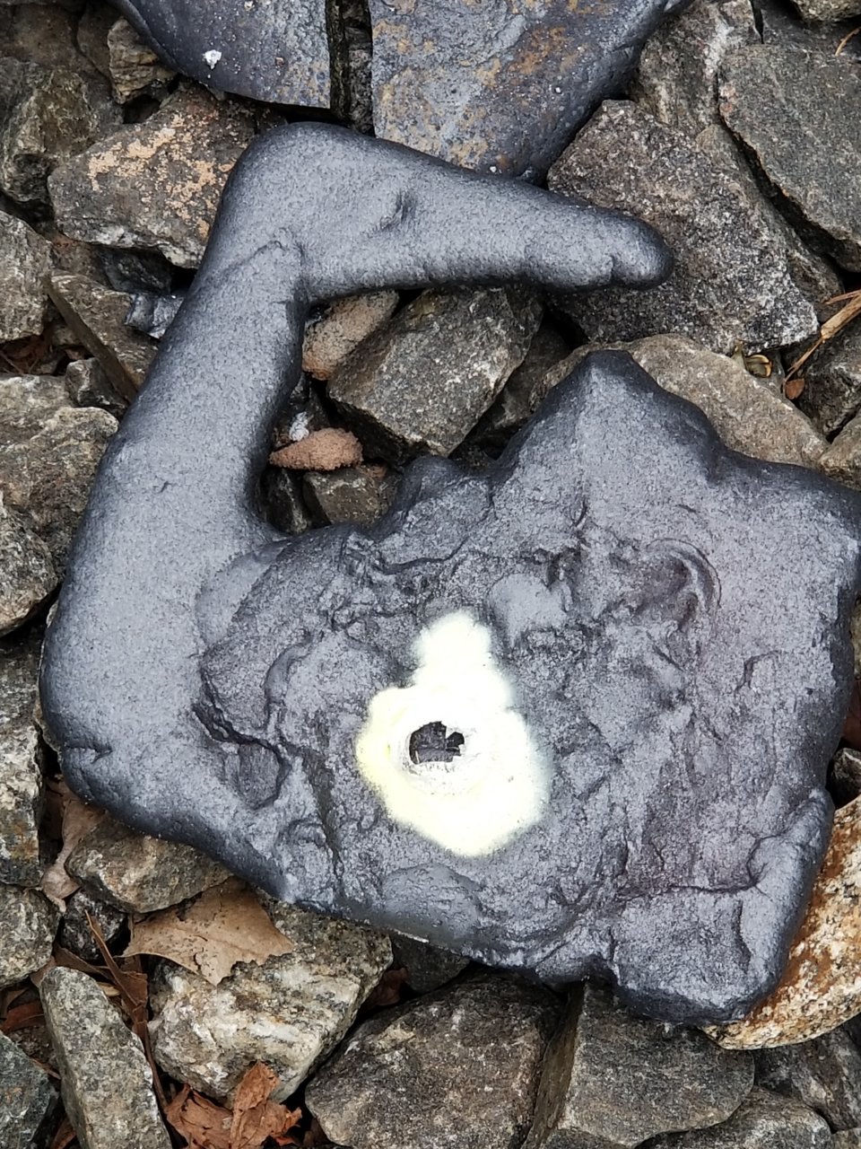 20190813_091418.jpg