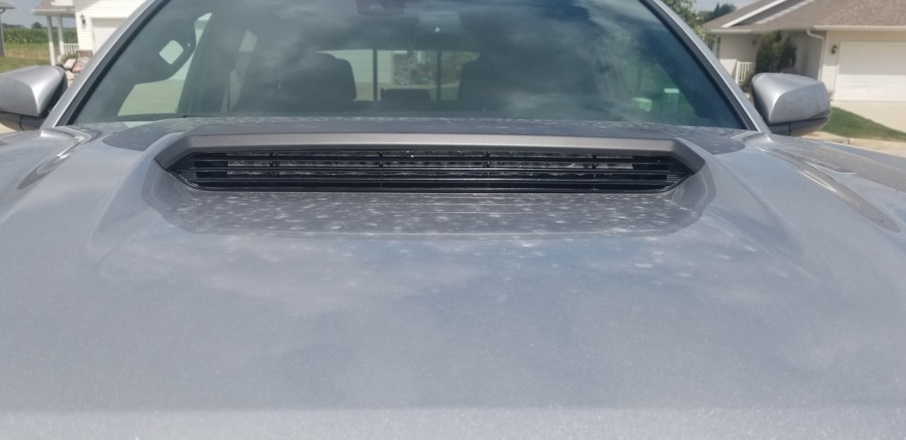 20190813_122147.jpg