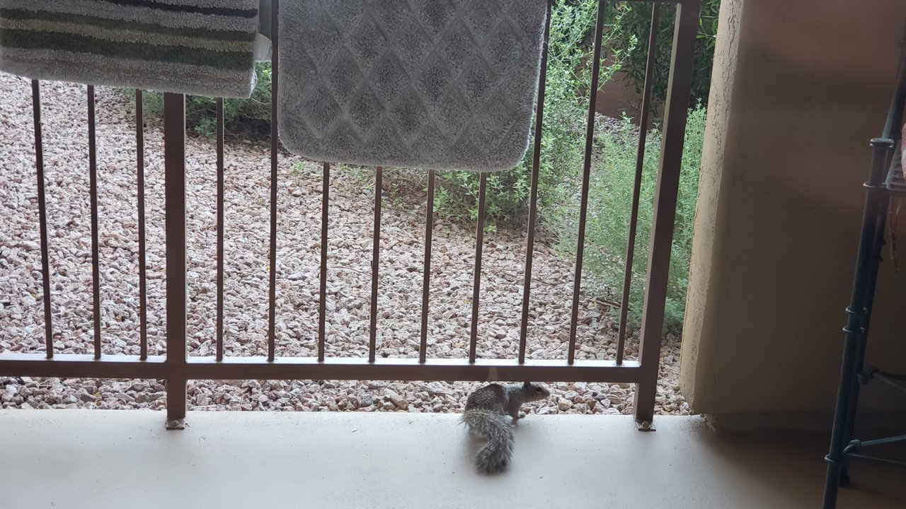 20190813_181705.jpg