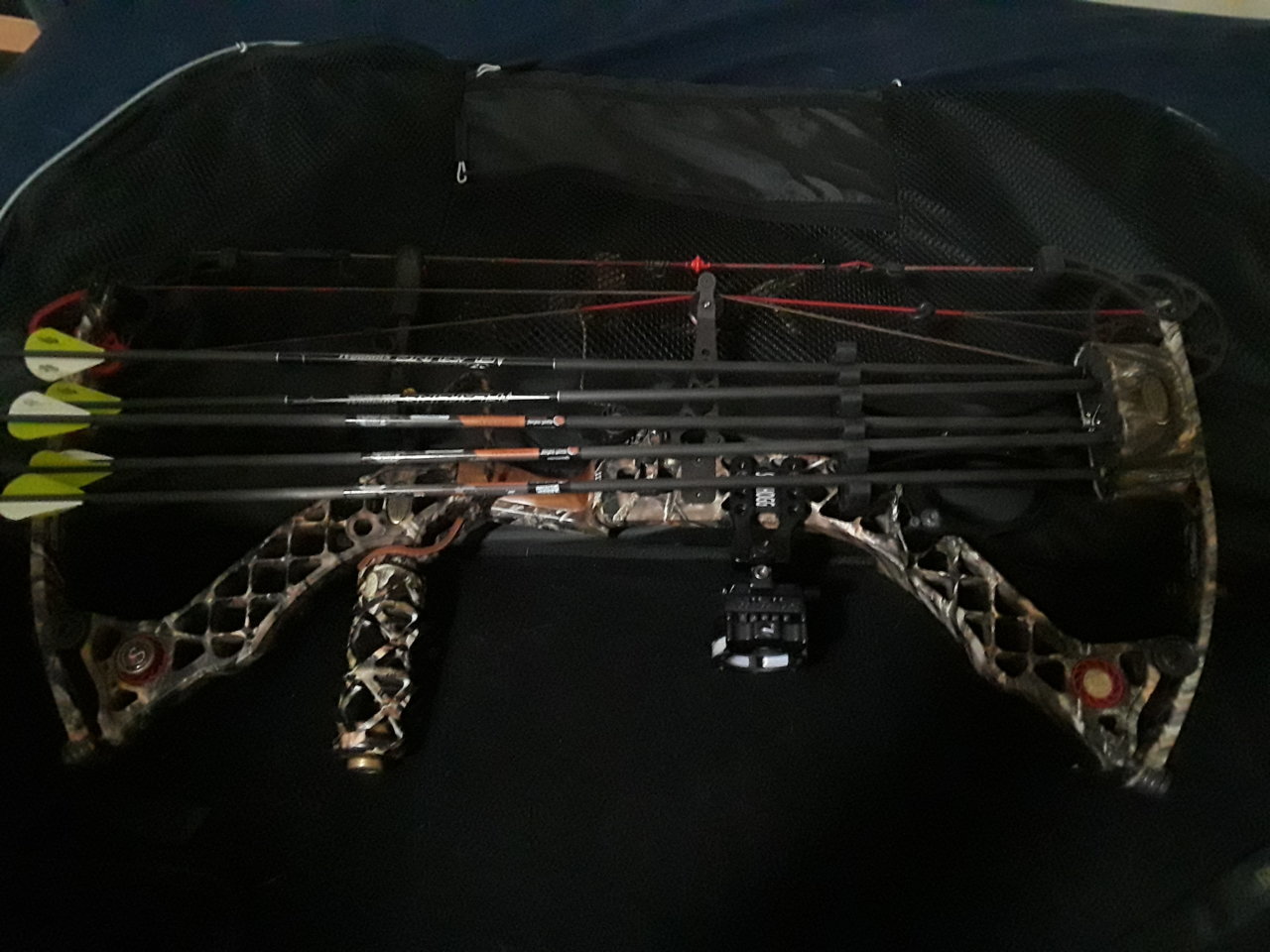 20190813_204737.jpg