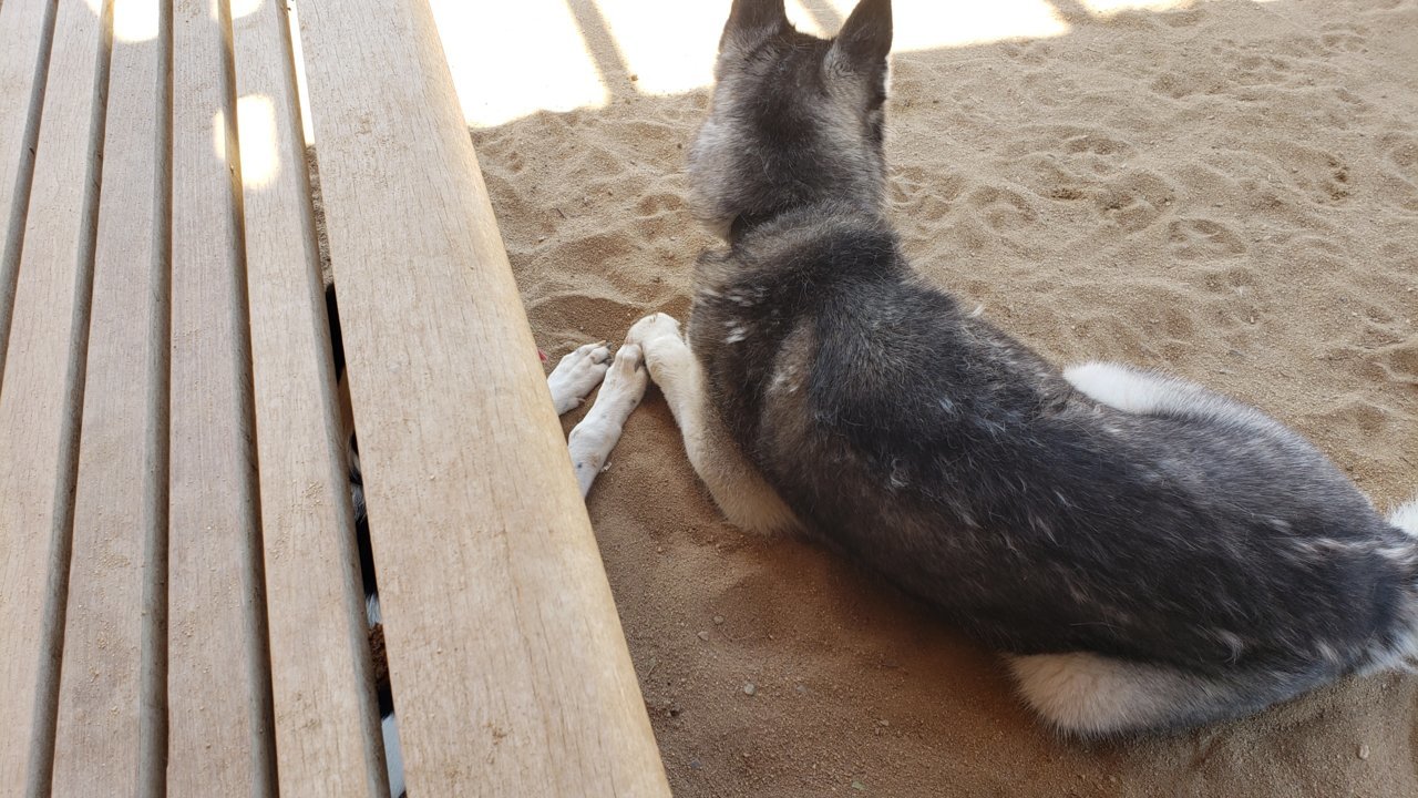 20190814_122514.jpg