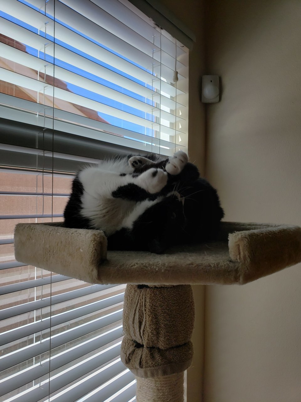 20190814_144130.jpg