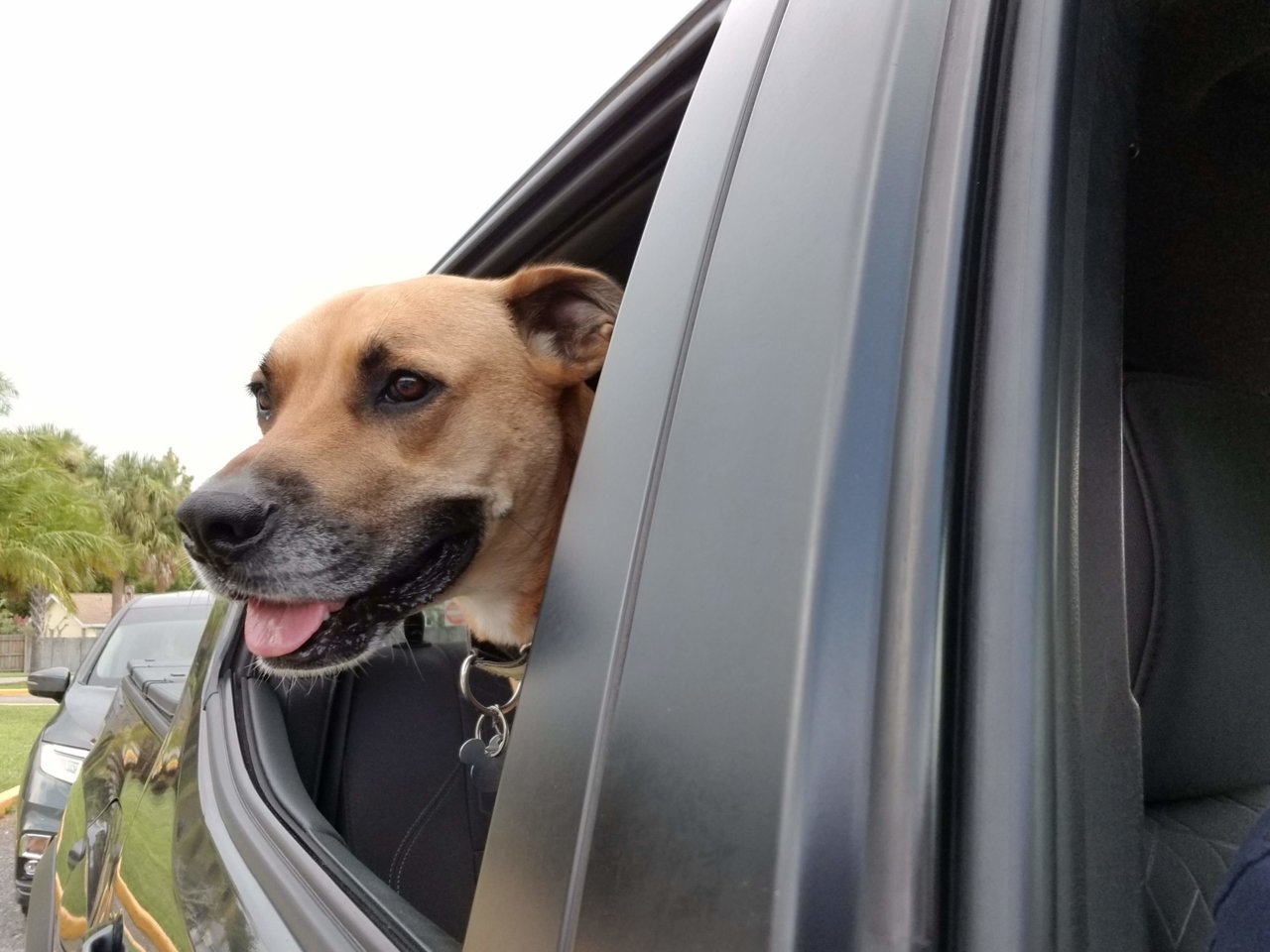 20190814_162904.jpg