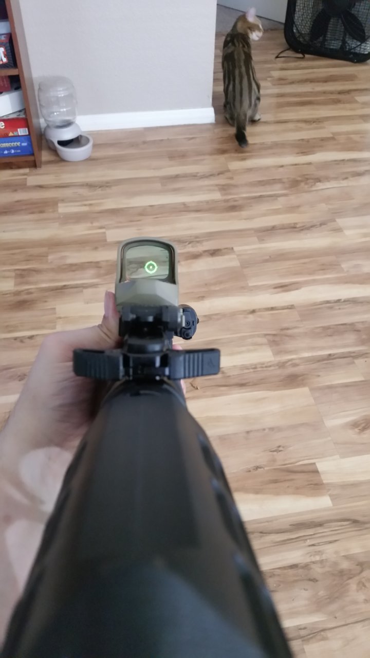 20190815_122034.jpg