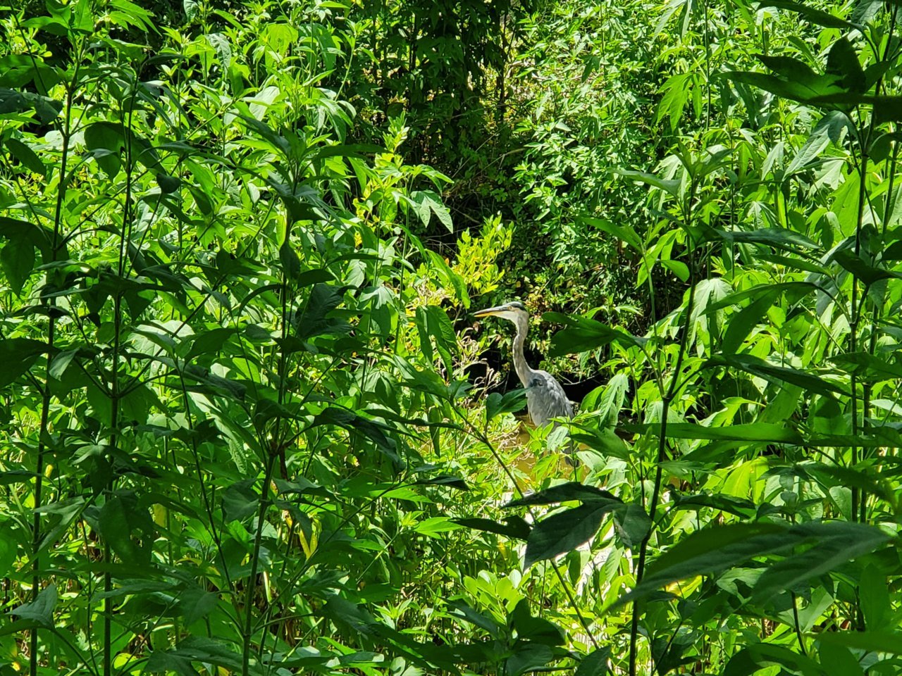 20190815_144921.jpg