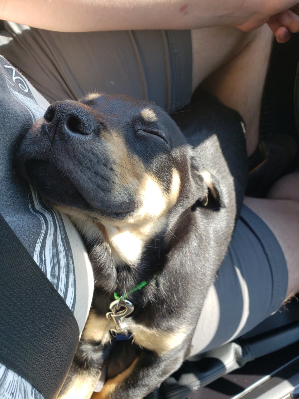 20190816_150432.jpg