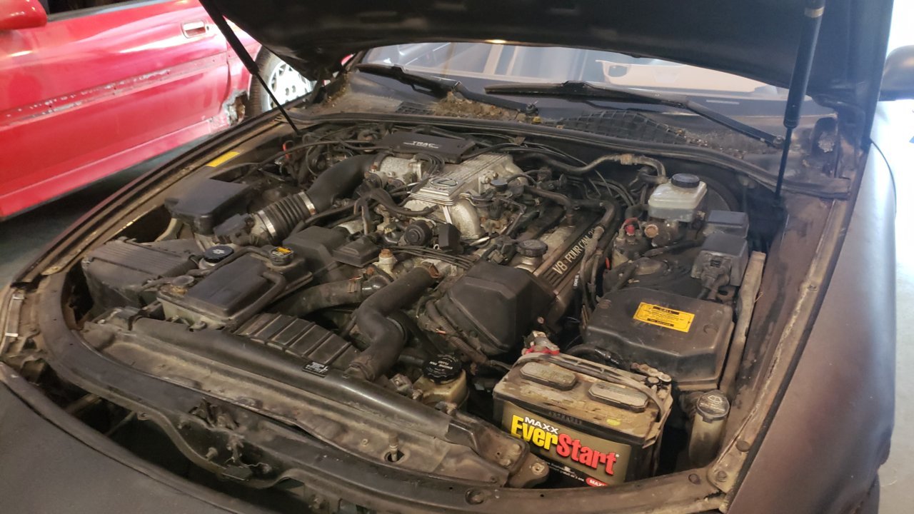 20190816_170454.jpg