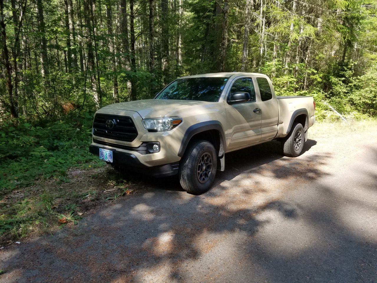 20190817_104521.jpg