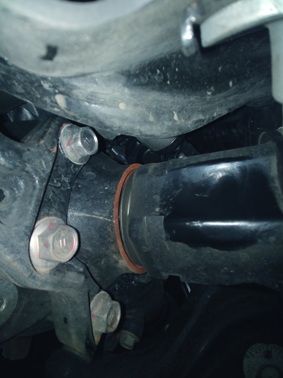 20190817_110835.jpg
