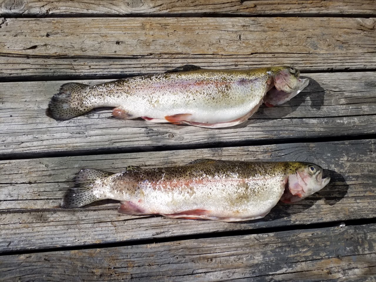20190817_170425.jpg