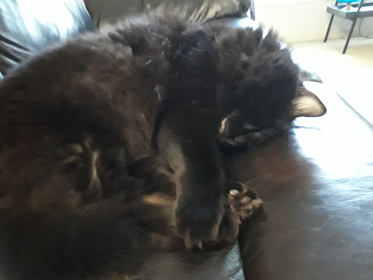 20190817_175221.jpg