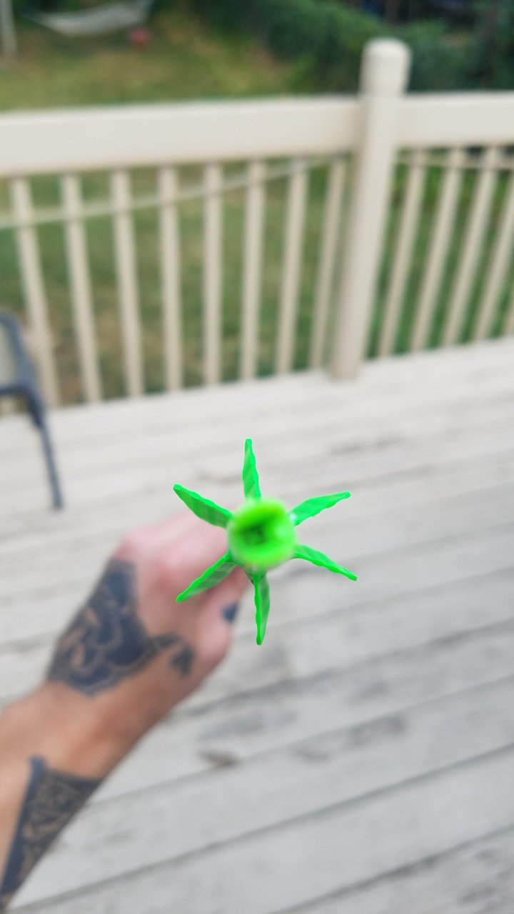 20190817_175303.jpg