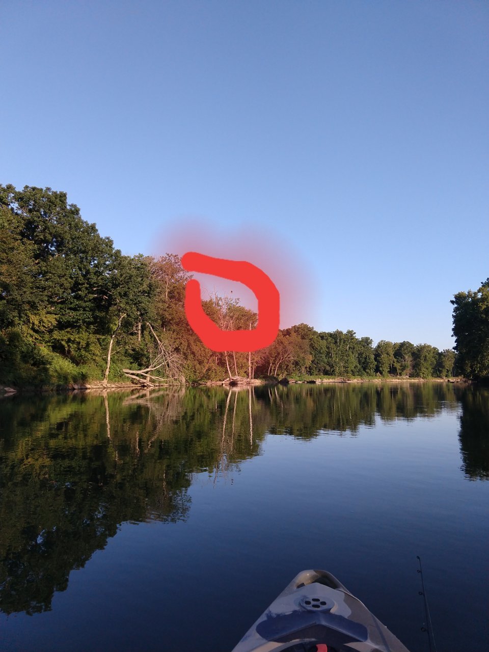 20190817_183333.jpg