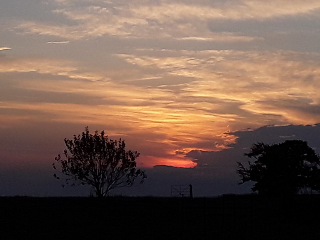 20190818_065417.jpg