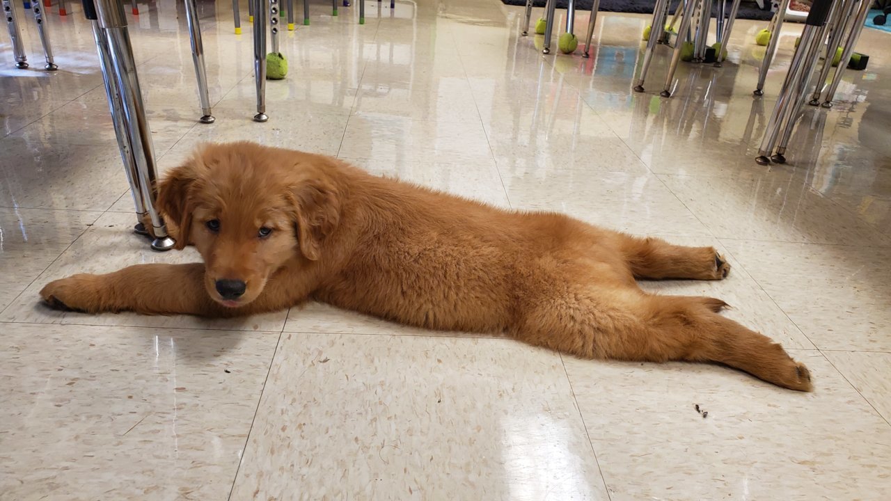 20190818_095821.jpg
