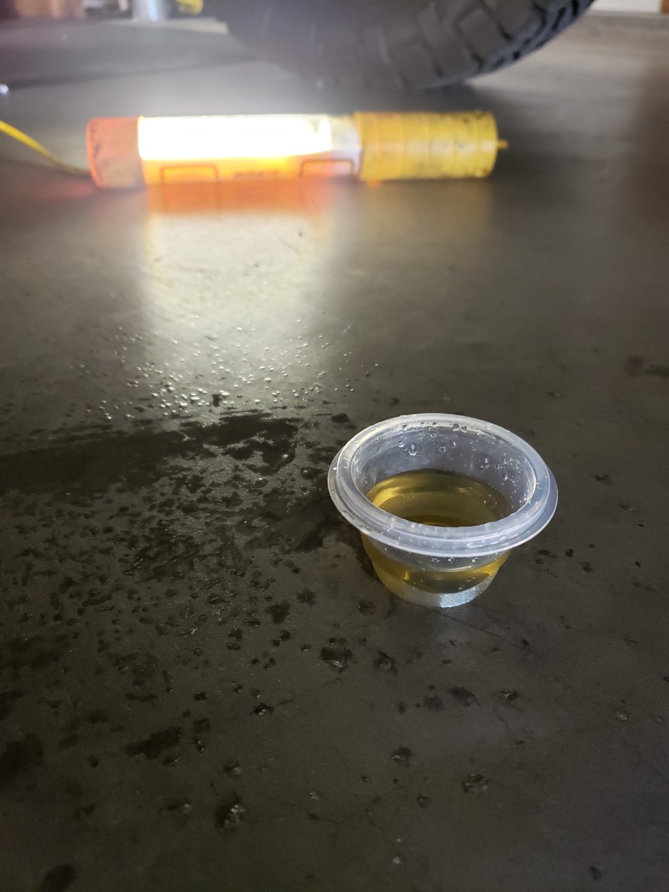 20190818_135539.jpg