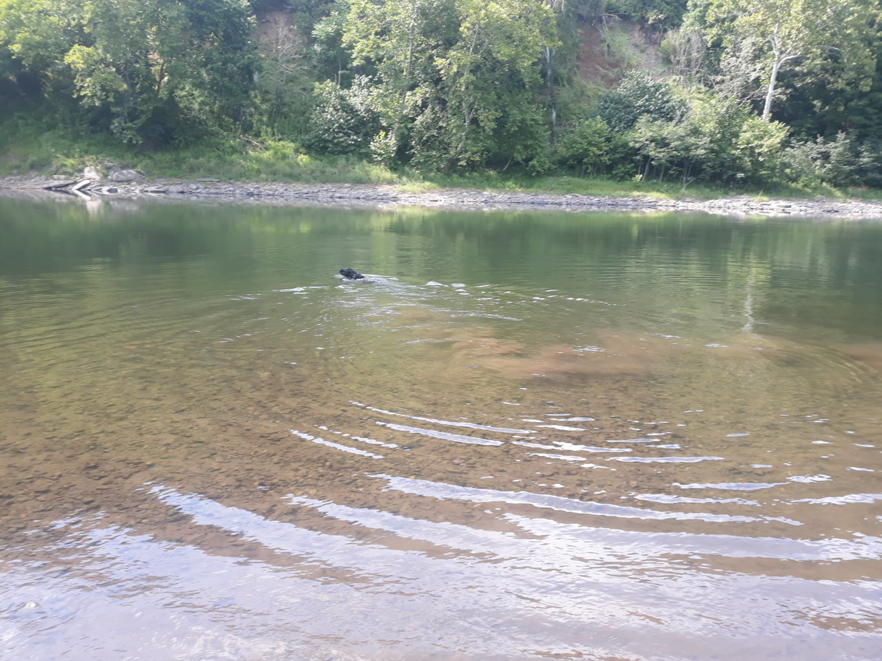 20190818_153902.jpg