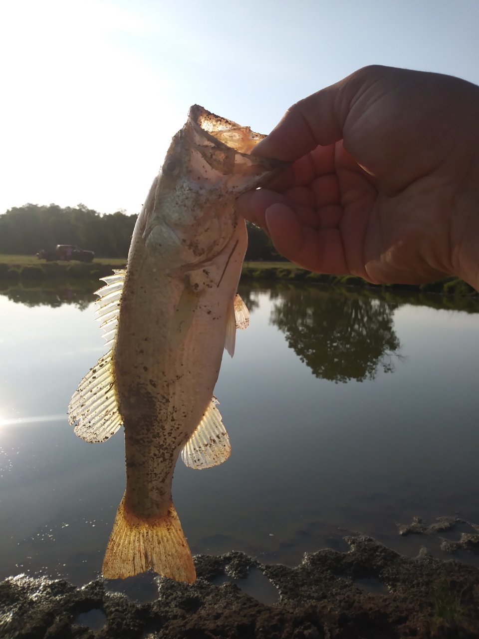 20190818_180203.jpg
