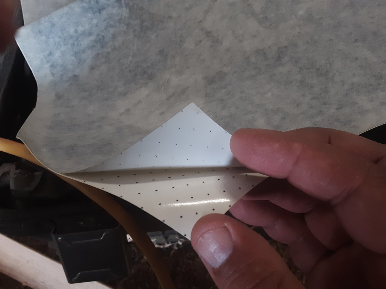 20190819_111834.jpg