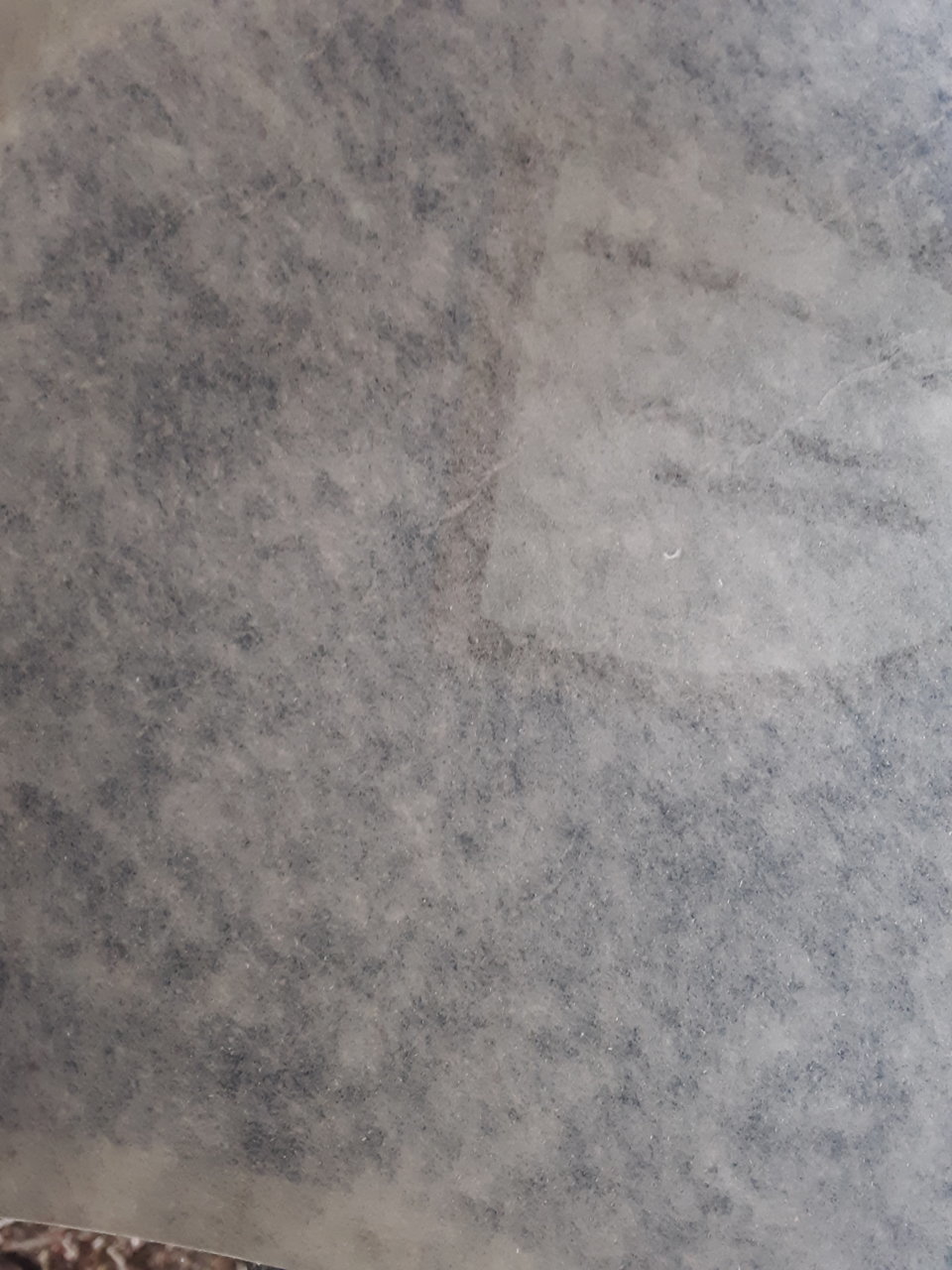 20190819_111904.jpg