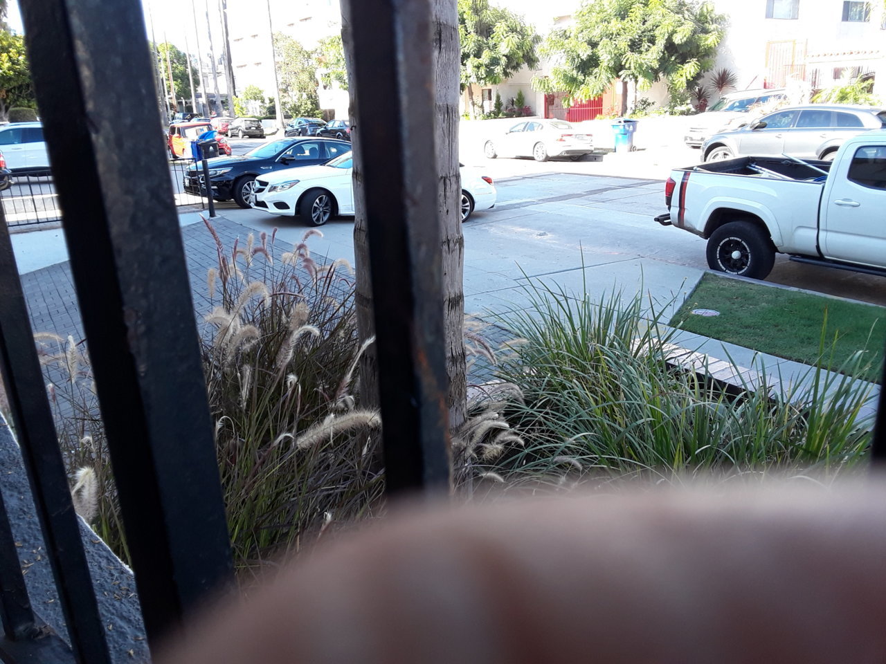 20190819_173020.jpg