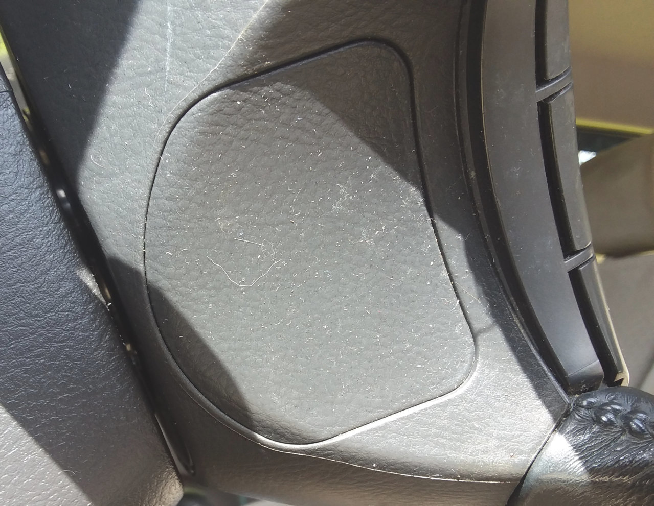 20190820_102716.jpg