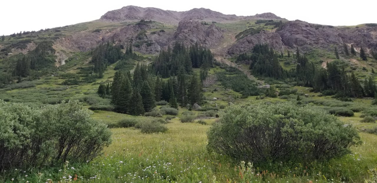20190821_144516.jpg