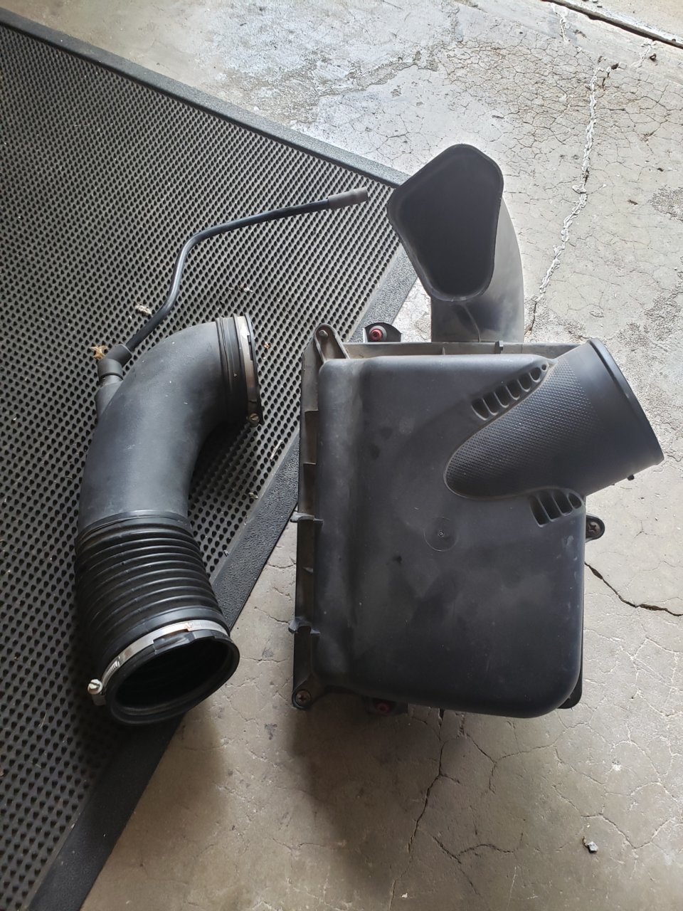 20190821_160141.jpg