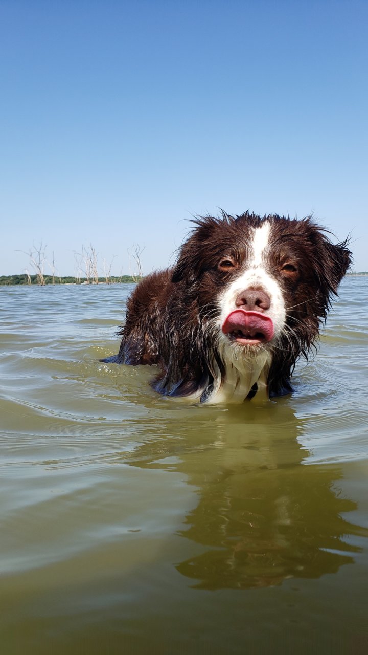 20190822_103724.jpg