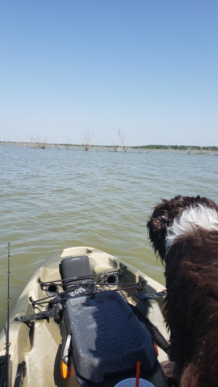 20190822_110055.jpg