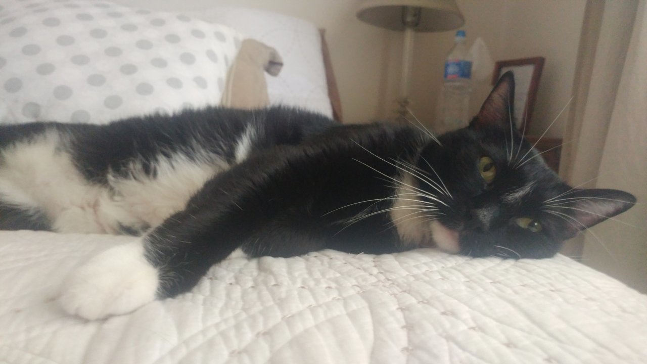 20190822_174110.jpg