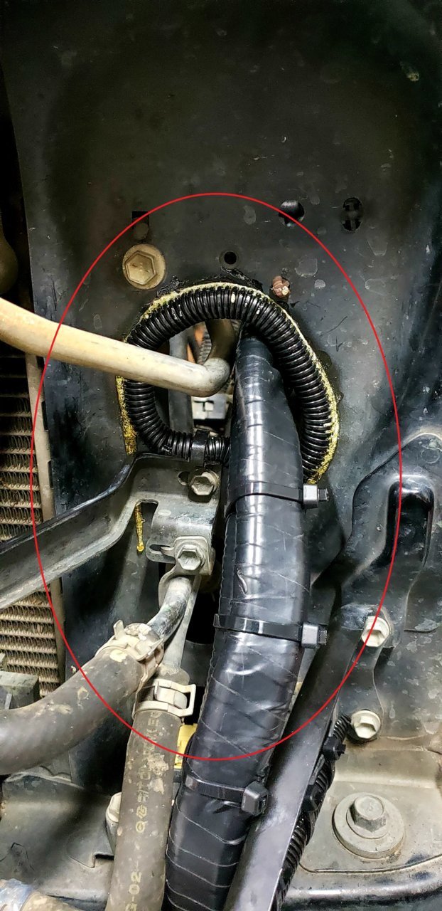 20190823_034447 - Modified.jpg