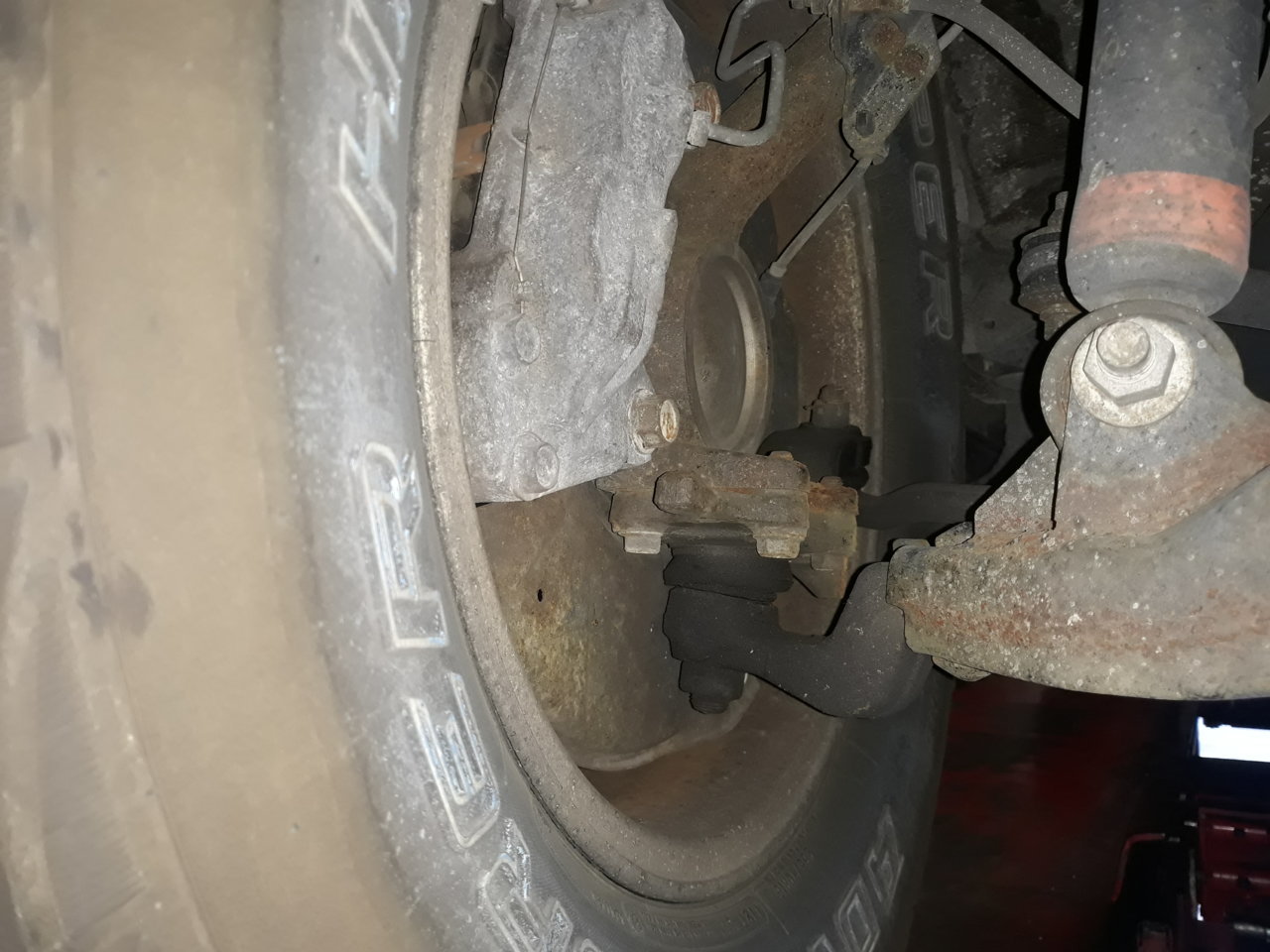 20190823_104602.jpg