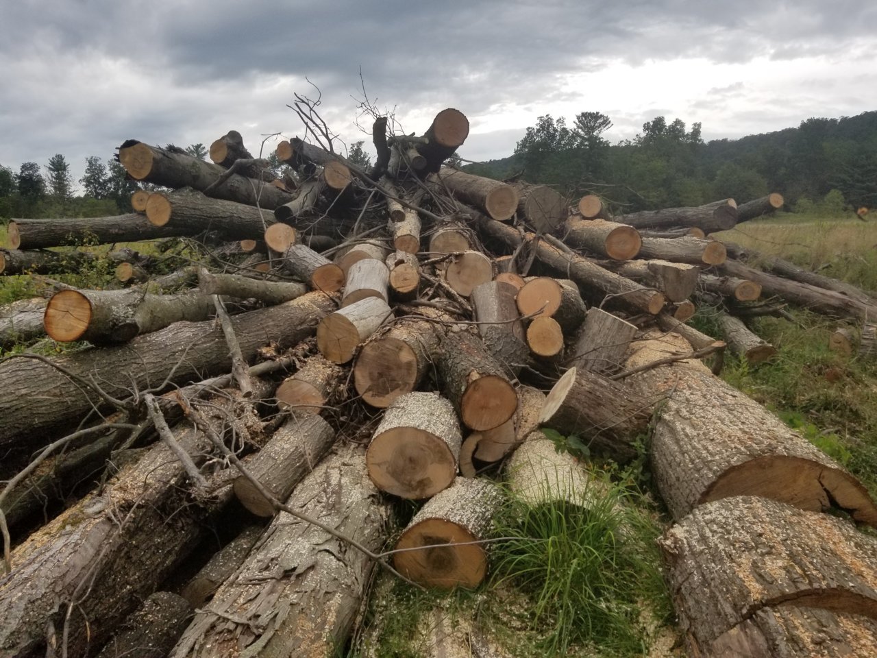 20190823_145242.jpg