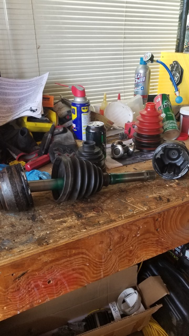 20190823_162926.jpg