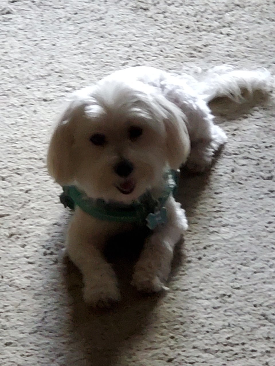 20190823_185053.jpg