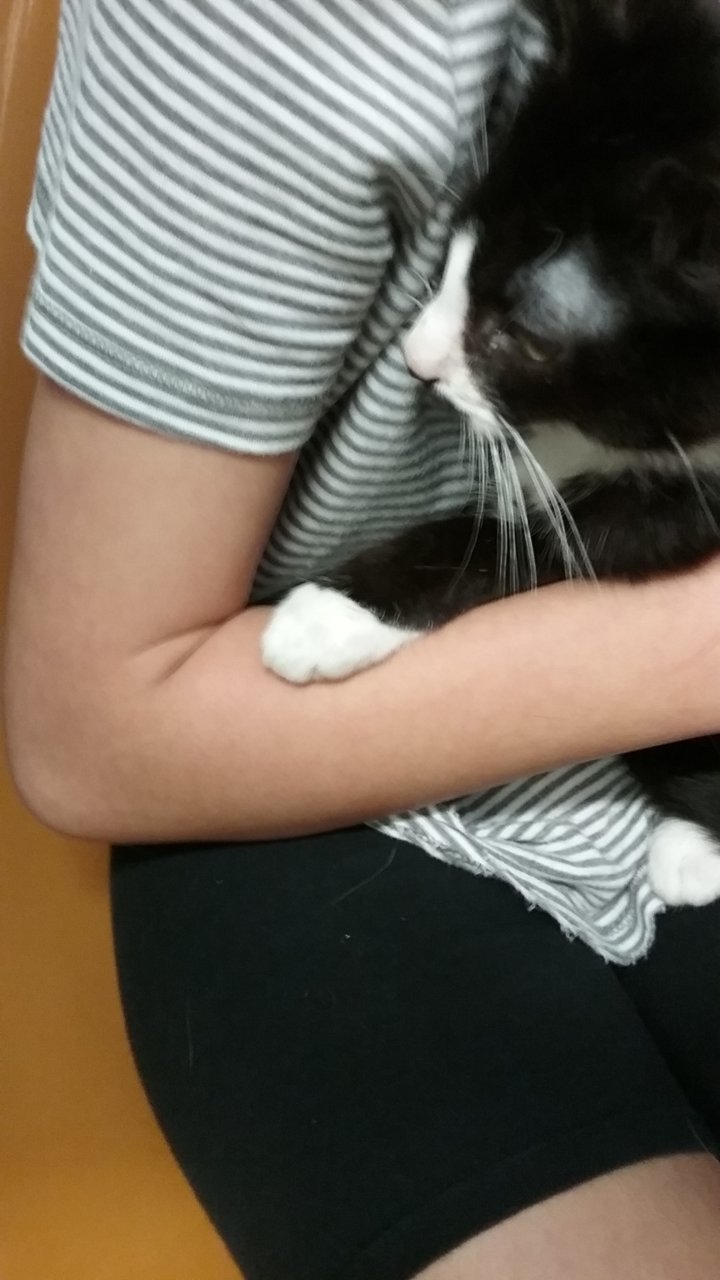 20190824_134503.jpg