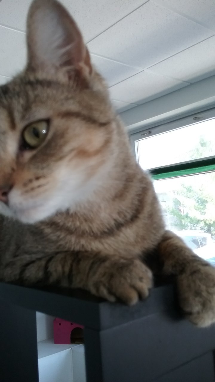 20190824_142254.jpg