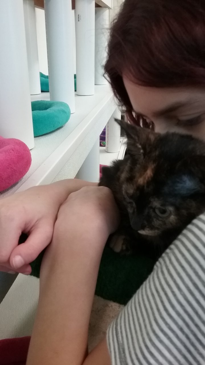 20190824_143810.jpg
