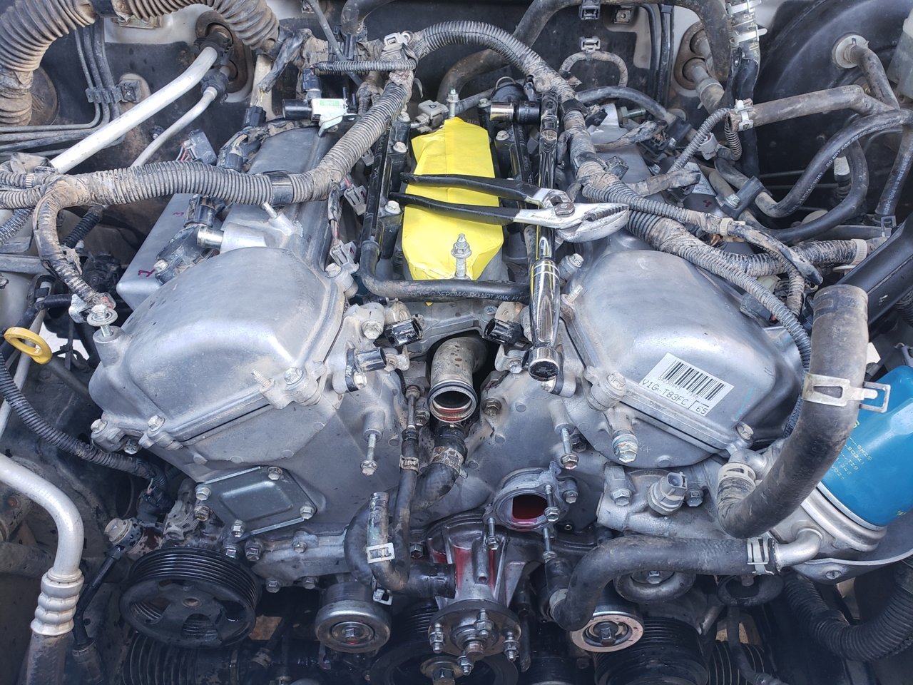 20190824_170133[1].jpg